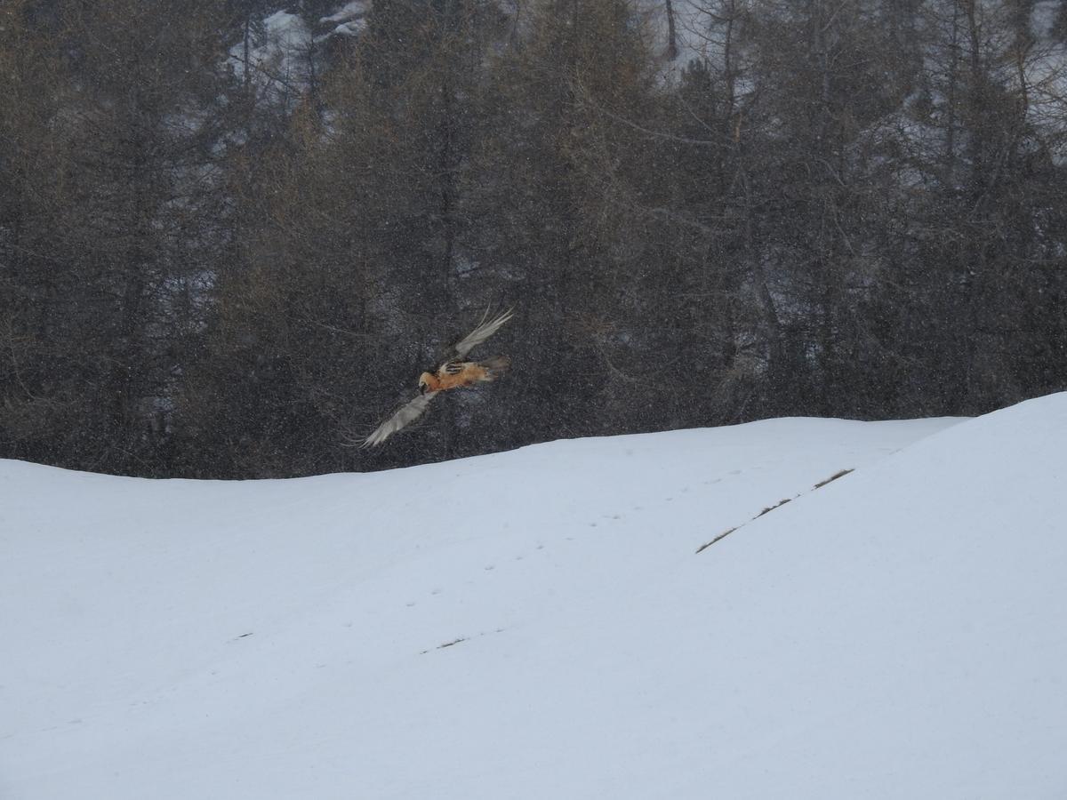 Baita Laura Livigno Luaran gambar